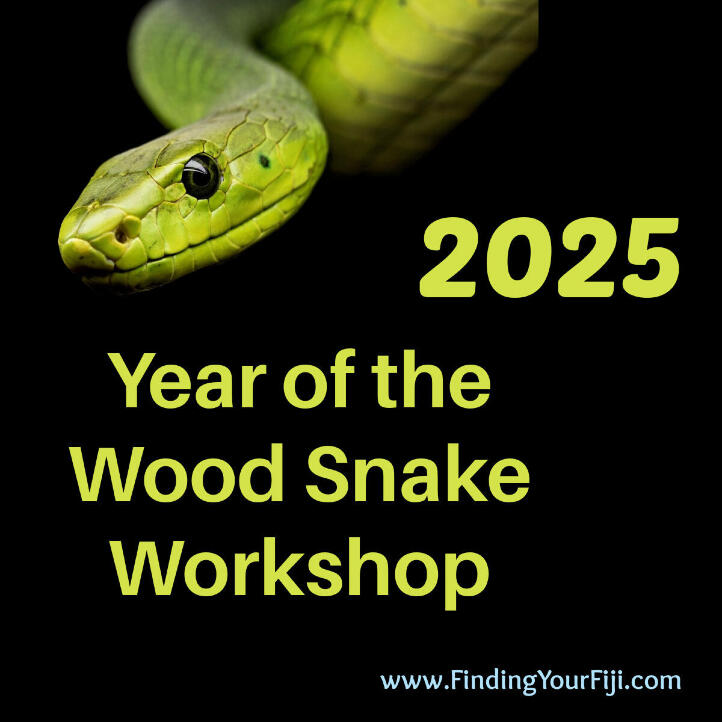 Year of the Wood Snake Workshop helps you create success in 2025!